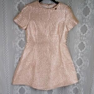 New Never Work No Tag Val Max Made In Italy Dress Size 90/12 Color Metallic